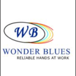 Manoj Cargo Carriers - Client - wonder blues